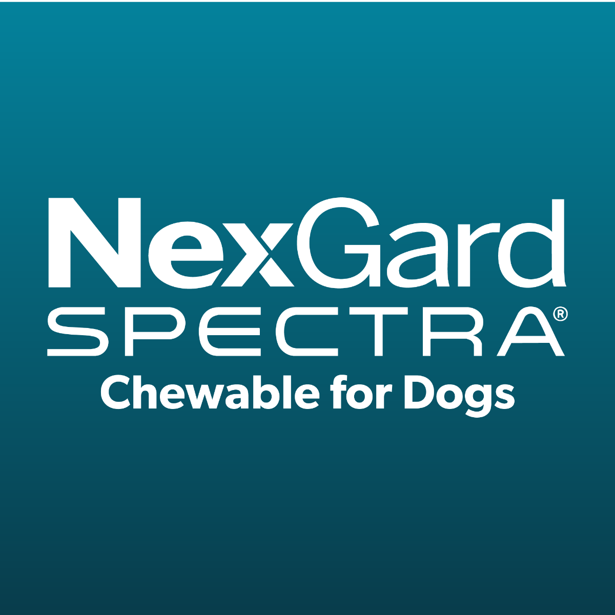 NexGard Spectra Dog