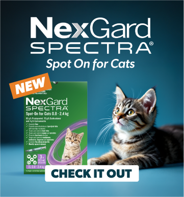 NexGard Spectra For Cats
