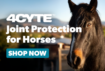 4Cyte Equine