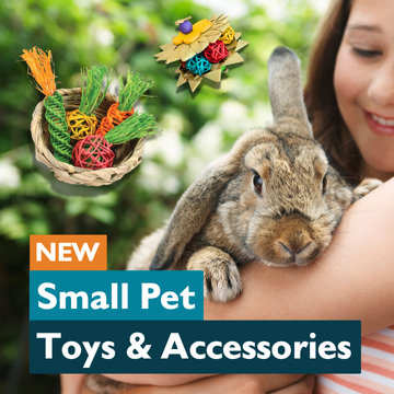 Small Pet Toys