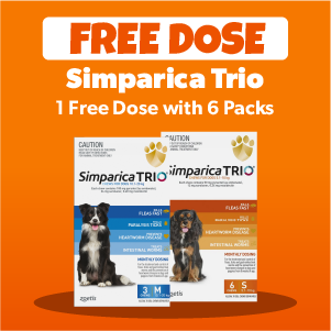 Simparica Trio