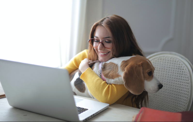 A woman in a yellow jumper is holding a brown and white dog while trying to work on her computer