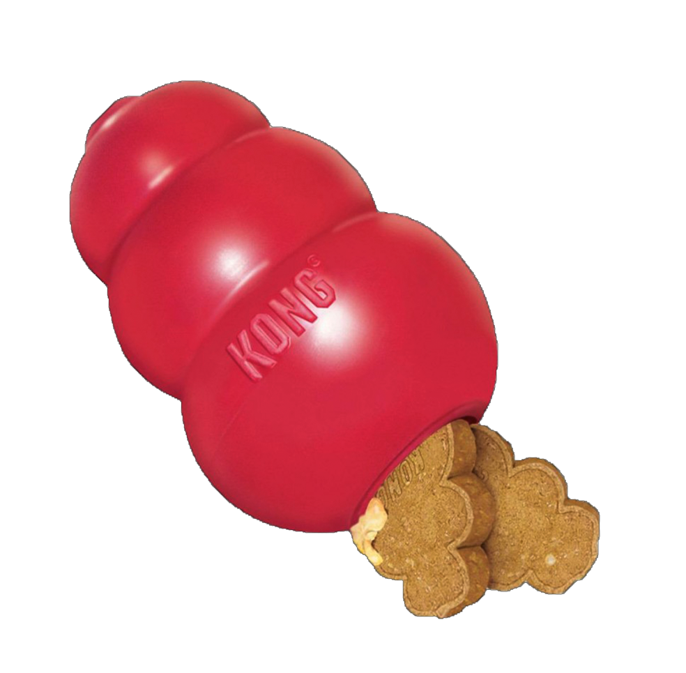 A red Kong toy is pictured with some treats sticking out of the hole in the bottom of the toy