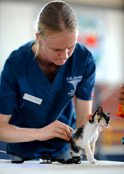 A calico kitten is being given an injection by a female vet in blue scrubs