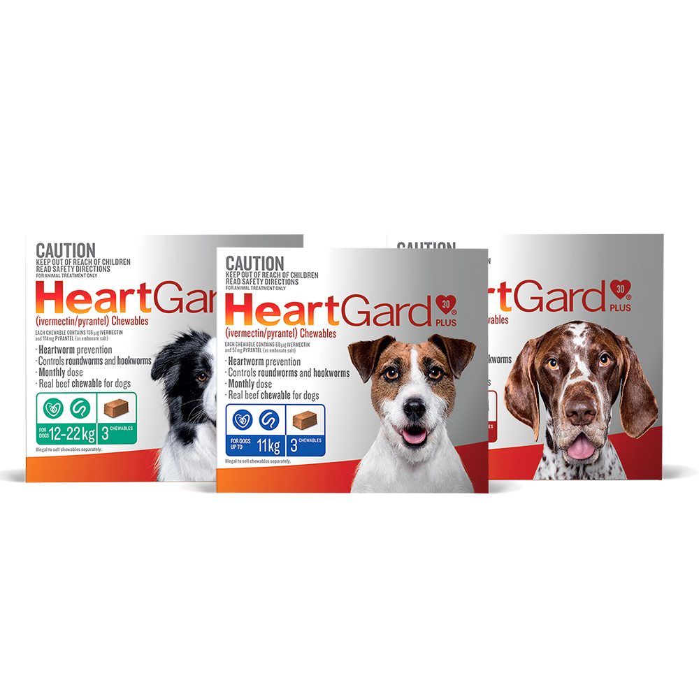 heartgard plus chewables for small dogs