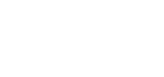 Revolution Plus