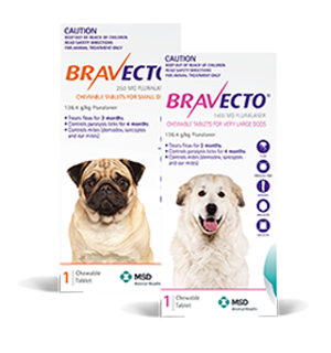 Bravecto for dogs