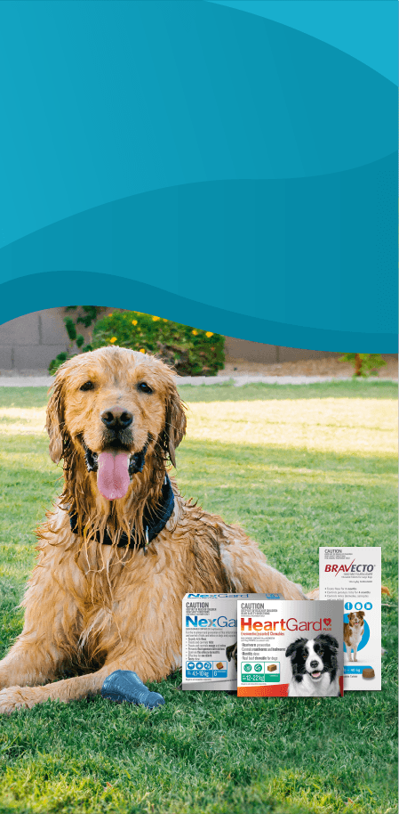 Win A Year's Supply Of Pet Food