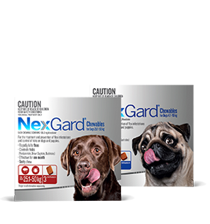 nexgard dogs