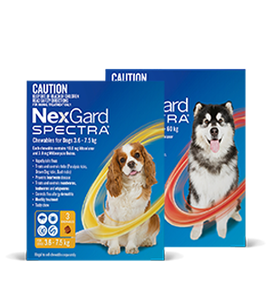 Nexgard Spectra for dogs