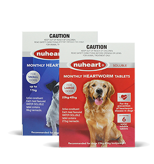 Where Can You Buy Nexgard For Dogs Where Can You Buy Nexgard For Dogs
