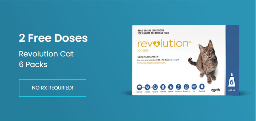 2 Free Doses Revolution Cat