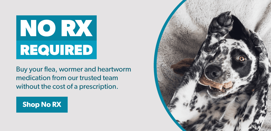 flea pill without vet