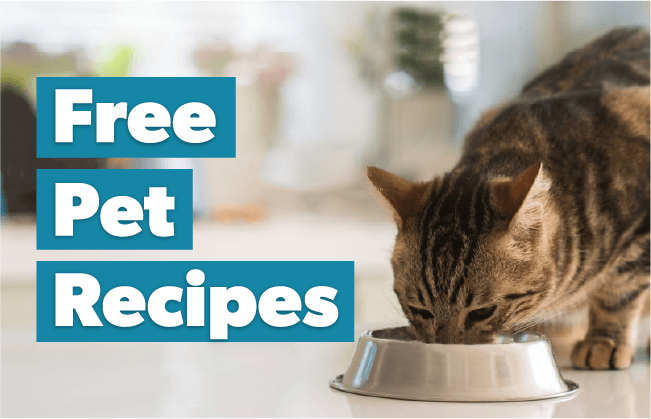 Free Pet Recipes