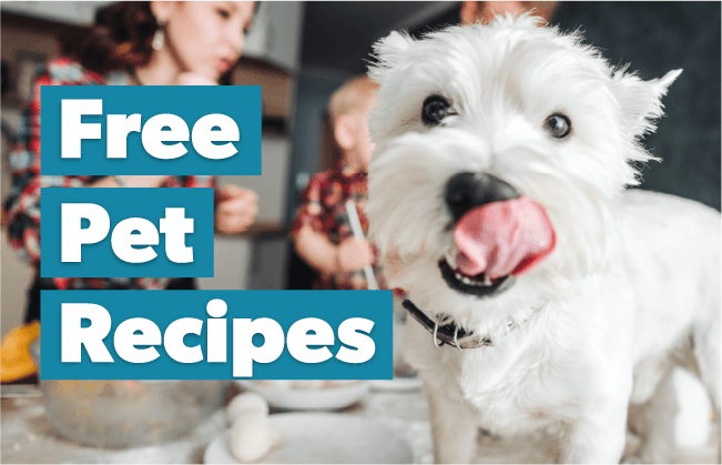 Free Pet Recipes