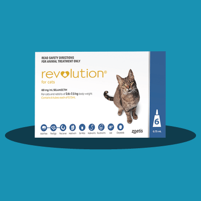 Revolution Cat sale